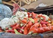 Warga Jepara Menjerit Jelang IdulFitri Harga Cabai Setan Tembus Rp 100 ribu Per Kilogram