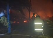 Si Jago Merah Lahap Empat Warung di Pantai Jepara, Kerugian Hampir Satu Miliar