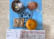 SPPG  Diwajibkan Terapkan Label Harga dan Gizi pada Kemasan MBG