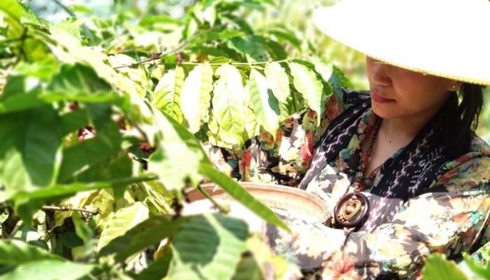 Kopi Khas Jepara Siap Naik Kelas Lewat Pendaftaran Indikasi Geografis