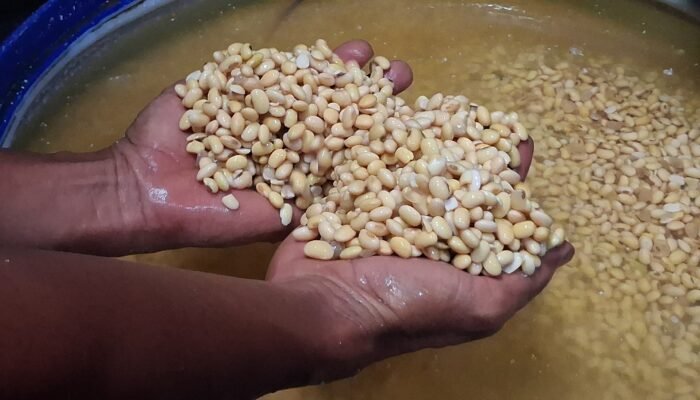 Perajin Tempe Jepara Kena Dampak Perang AS Hargai Kedelai Melambung Tinggi