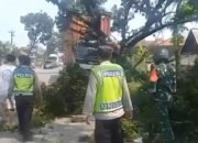 Truk Kontainer Hilang Kendali di Welahan Jepara, Tabrak Pohon hingga Timpa Pengendara Motor