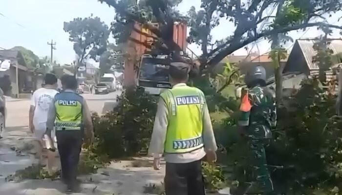 Truk Kontainer Hilang Kendali di Welahan Jepara, Tabrak Pohon hingga Timpa Pengendara Motor