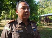 Pertama di Jepara, Ogoh-ogoh Akan Diarak