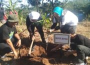 Jepara Menanam Upaya Nyata Kurangi Lahan Kritis