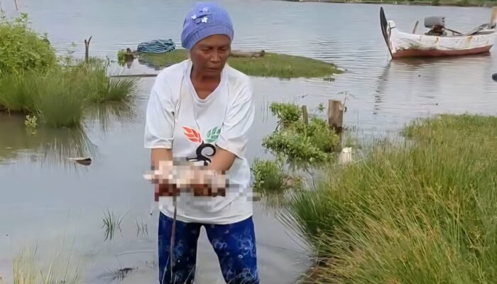 Tragis ! Polisi Cari Ibu Mayat Bayi Yang Ditemukan Membusuk di Pinggir Sungai Jepara
