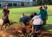 Tumbuhkan Solidaritas dan Kepedulian, SMAN 1 Tahunan Jepara Gelar Pelaksanaan Kurban