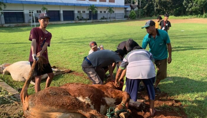 Tumbuhkan Solidaritas dan Kepedulian, SMAN 1 Tahunan Jepara Gelar Pelaksanaan Kurban