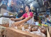 Harga Anjlok Emak-emak di Jepara Borong Telur, 500 Kg Telur Ludes Dalam Sekejap