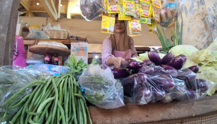 MBG Kembali Beroperasi! Harga Sayur di Jepara Kompak Melonjak